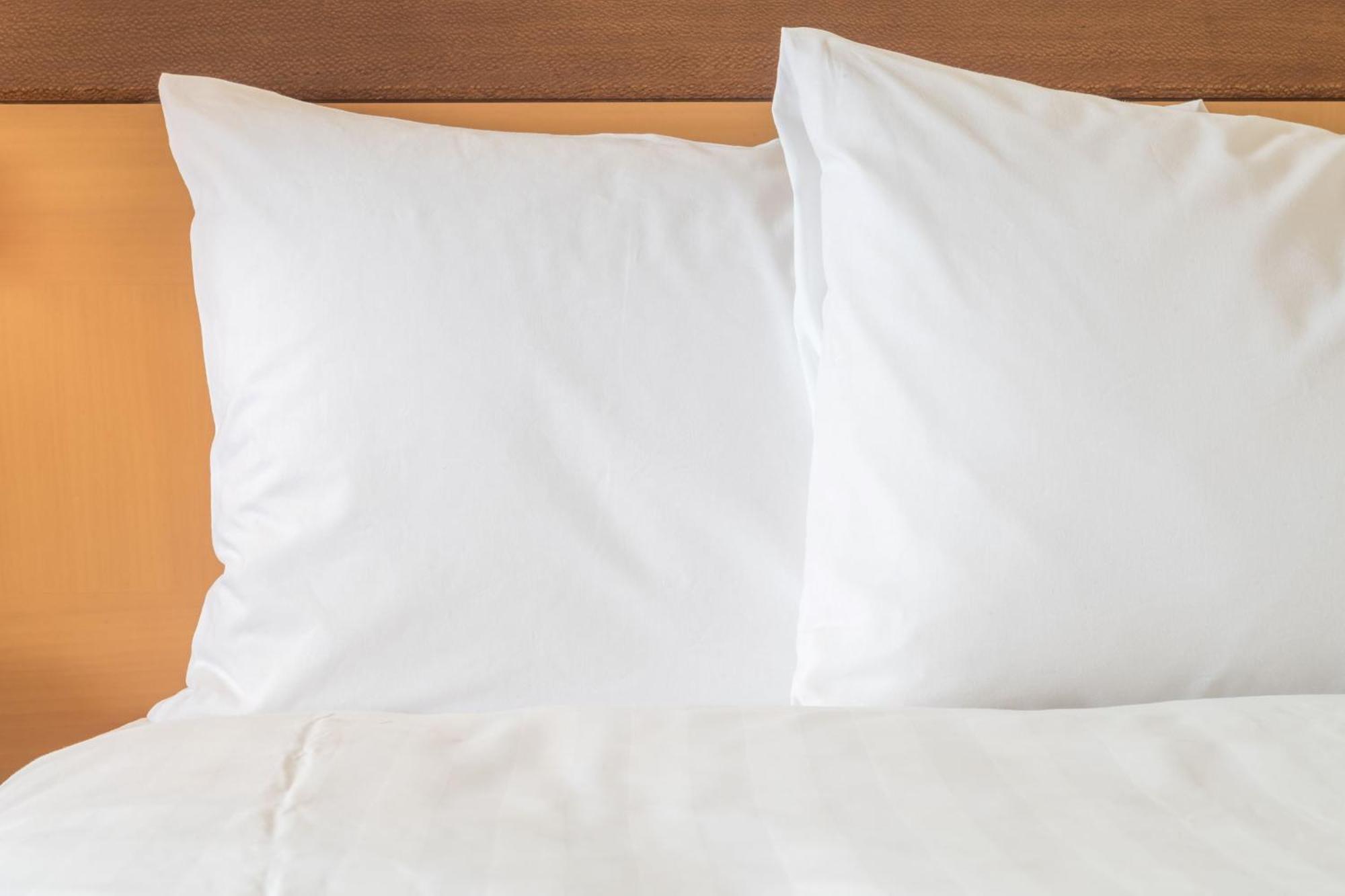 Holiday Inn Express - Bowling Green By Ihg Экстерьер фото